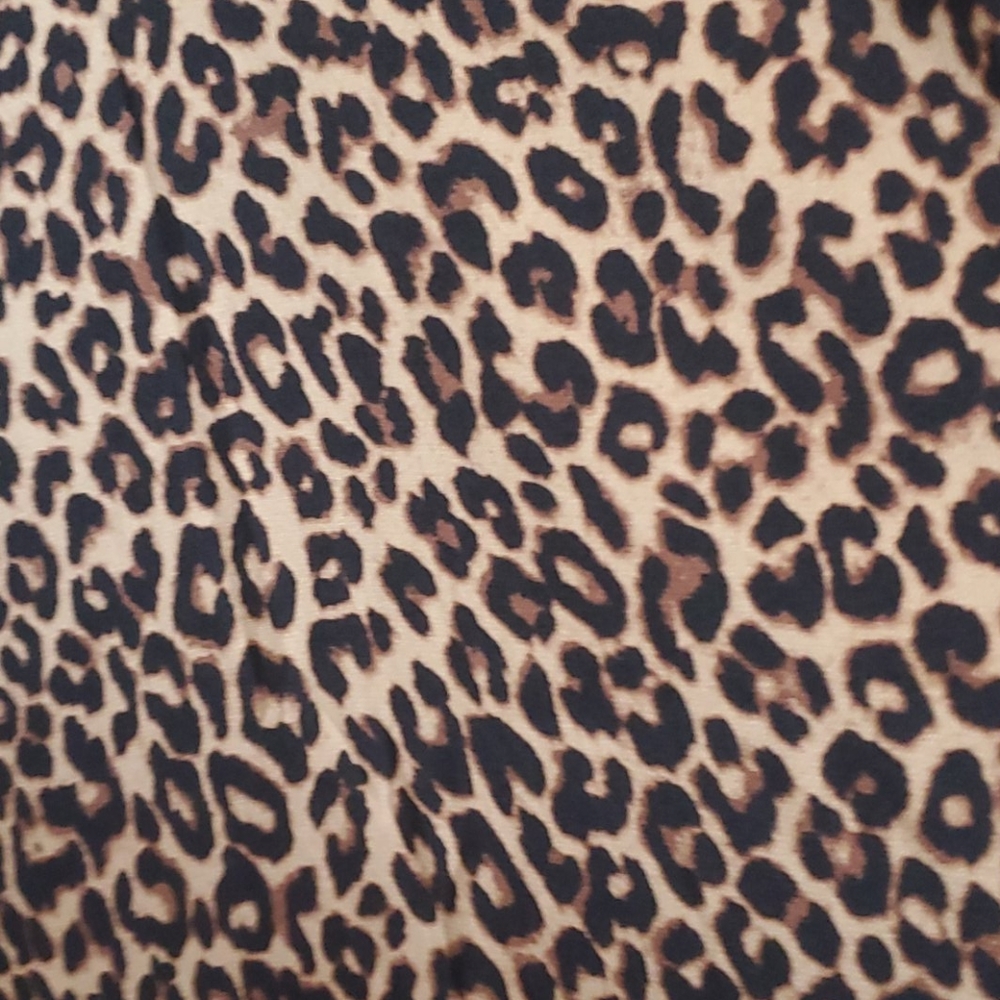 Leopard Print Dress - Picture 2 of 2